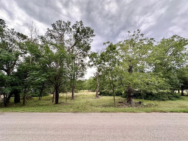 911 Penion Dr, Austin, TX 78748 - photo 1