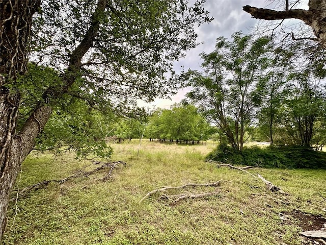911 Penion Dr, Austin, TX 78748 - photo 2
