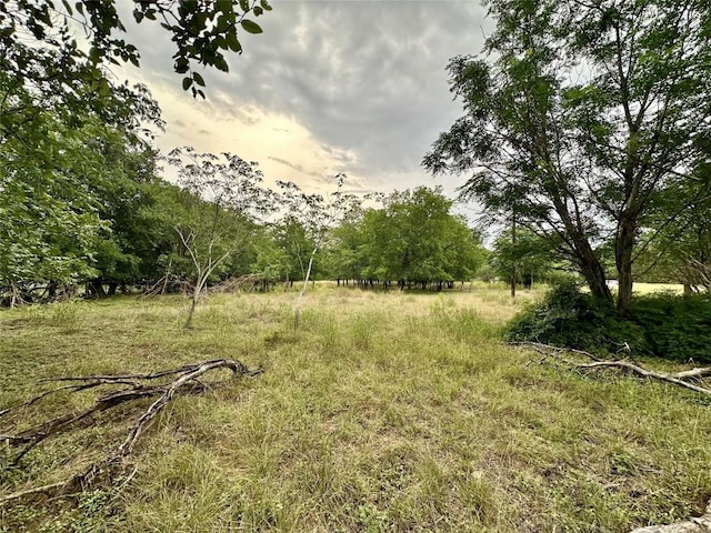 911 Penion Dr, Austin, TX 78748 - photo 3