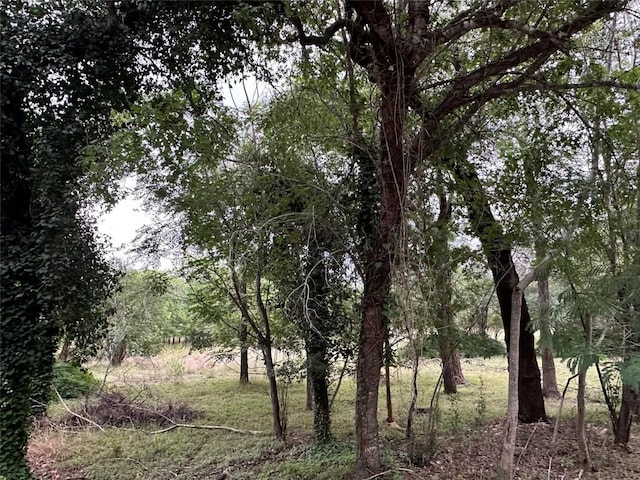 911 Penion Dr, Austin, TX 78748 - photo 4