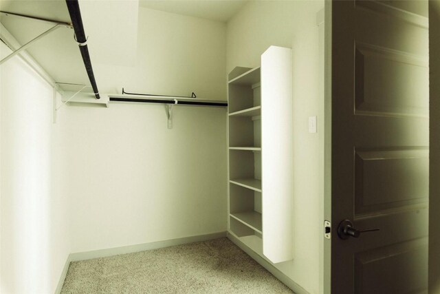 324 Millbrook Blvd, San Marcos, TX 78666 - walk in closet with light carpet