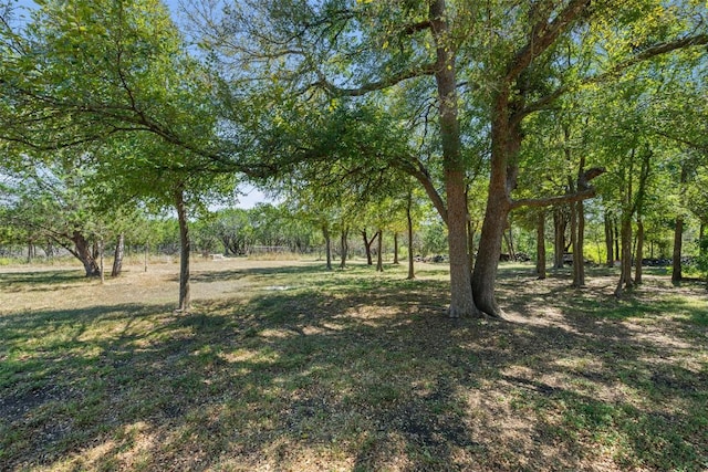507 County Road 200d, Burnet, TX 78611 - photo 4