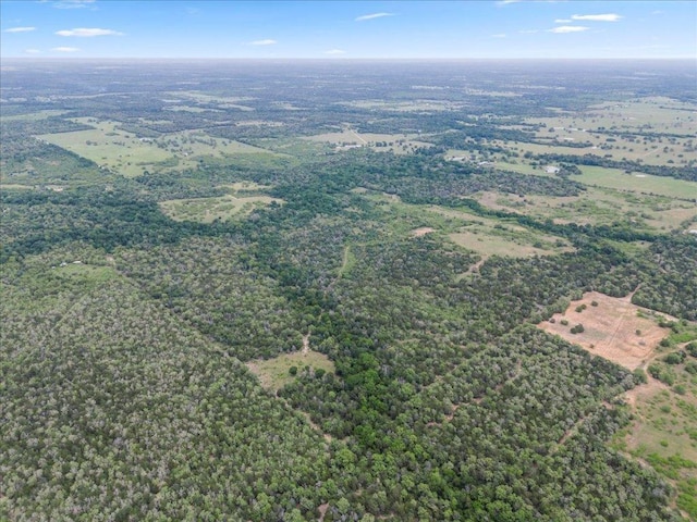 TBD207.5/-ACRES Anchor Ranch Loop, Flatonia, TX 78941 - photo 9
