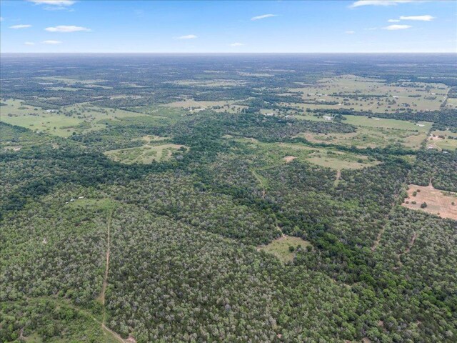TBD207.5/-ACRES Anchor Ranch Loop, Flatonia, TX 78941 - photo 10