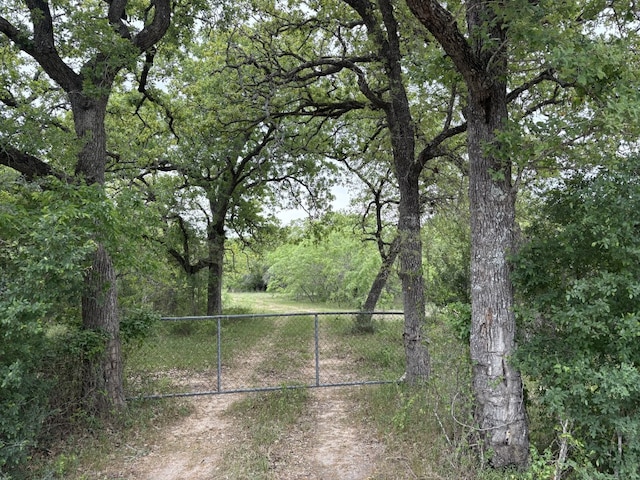 TBD207.5/-ACRES Anchor Ranch Loop, Flatonia, TX 78941 - photo 1