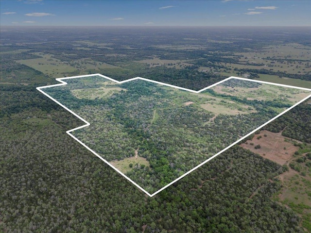 TBD207.5/-ACRES Anchor Ranch Loop, Flatonia, TX 78941 - photo 3