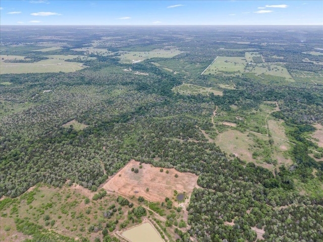 TBD207.5/-ACRES Anchor Ranch Loop, Flatonia, TX 78941 - photo 6