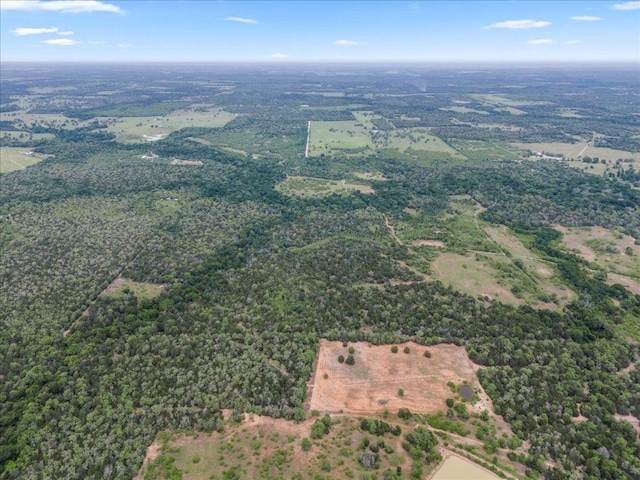 TBD207.5/-ACRES Anchor Ranch Loop, Flatonia, TX 78941 - photo 7