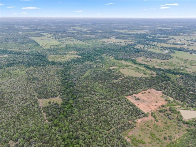 TBD207.5/-ACRES Anchor Ranch Loop, Flatonia, TX 78941 - photo 8