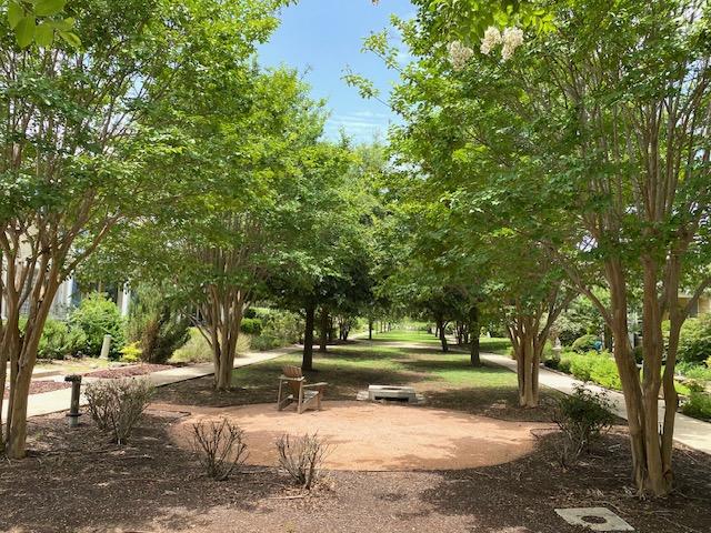 316 Perry St, San Marcos, TX 78666 - photo 25