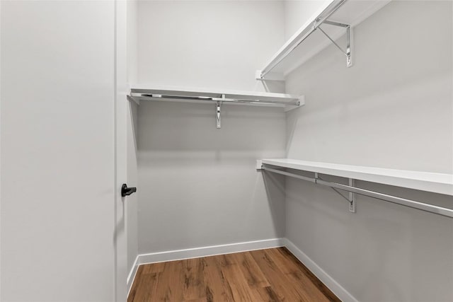 4510 Terry-O Ln Unit 415, Austin, TX 78745 - walk in closet featuring wood finished floors