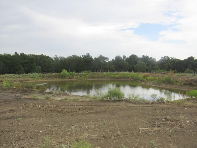 353 Littig Rd, Elgin, TX 78621 - water view