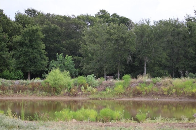 353 Littig Rd, Elgin, TX 78621 - water view featuring a forest