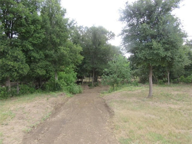 353 Littig Rd, Elgin, TX 78621 - view of road