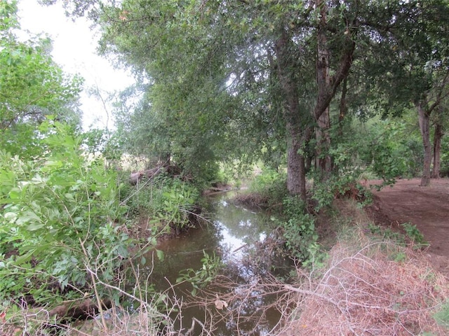 353 Littig Rd, Elgin, TX 78621 - view of undeveloped land