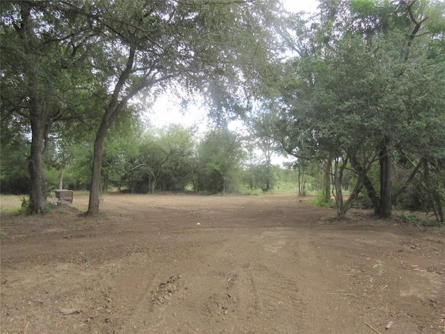 353 Littig Rd, Elgin, TX 78621 - view of nature