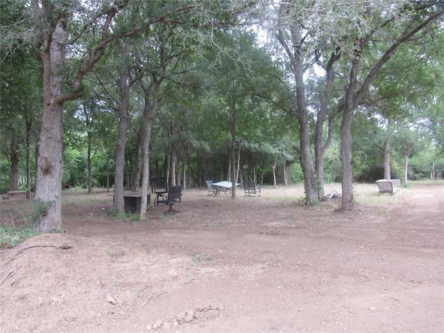 353 Littig Rd, Elgin, TX 78621 - view of yard