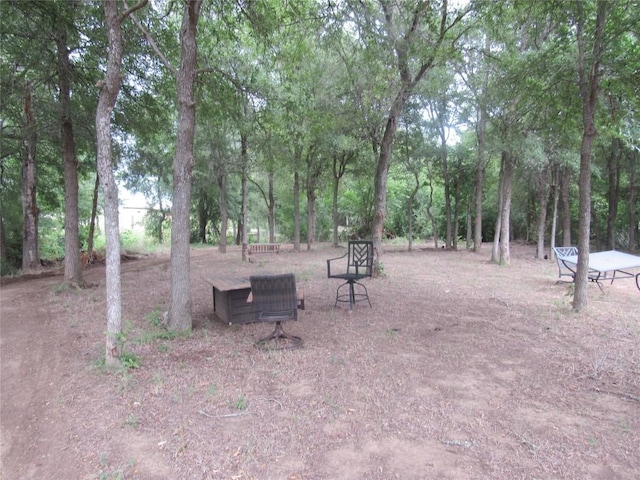 353 Littig Rd, Elgin, TX 78621 - view of property's community