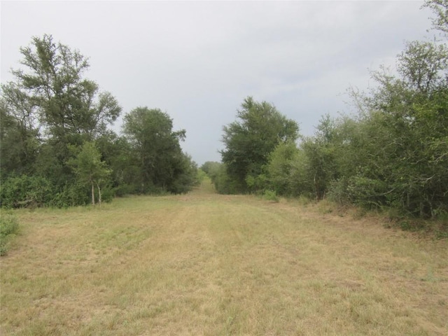 353 Littig Rd, Elgin, TX 78621 - view of tree filled area