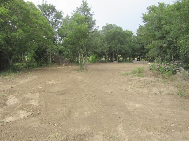 353 Littig Rd, Elgin, TX 78621 - view of yard