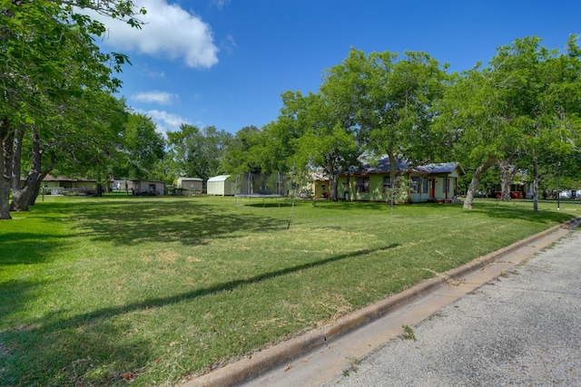 429 W 4th St, Flatonia, TX 78941 - view of green lawn with a trampoline and a storage unit