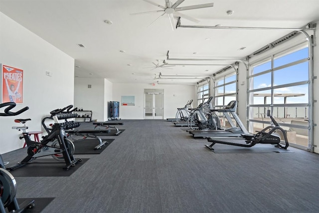 4361 S Congress Ave Unit 435, Austin, TX 78745 - workout area with carpet floors and ceiling fan