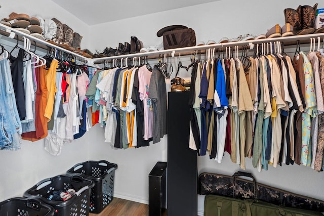 105 Perfect World Loop, Jarrell, TX 76537 - spacious closet featuring wood finished floors