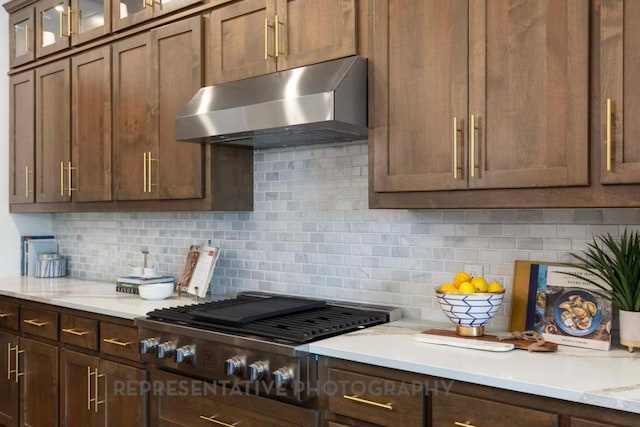 1401 Snowdrop Dr, Georgetown, TX 78628 - kitchen with range hood, light countertops, tasteful backsplash, and glass insert cabinets