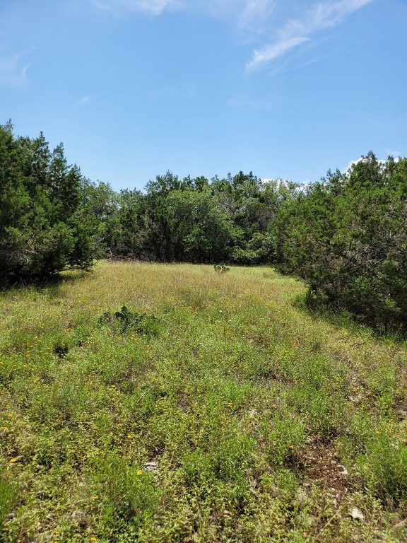 665 Jennifer Ln, Driftwood, TX 78619 - photo 4