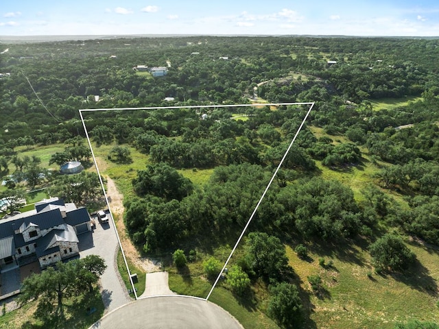 202 Saint Helena Ct, Driftwood, TX 78619 - photo 3