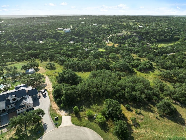 202 Saint Helena Ct, Driftwood, TX 78619 - photo 4