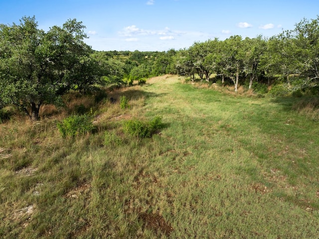 202 Saint Helena Ct, Driftwood, TX 78619 - photo 7