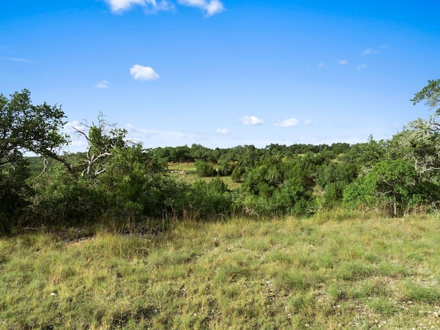 202 Saint Helena Ct, Driftwood, TX 78619 - photo 8