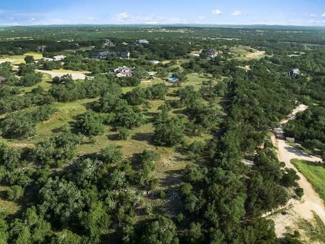 202 Saint Helena Ct, Driftwood, TX 78619 - photo 10
