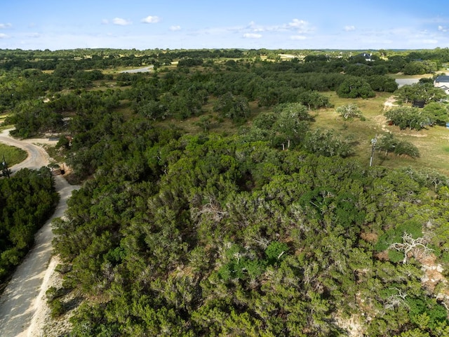202 Saint Helena Ct, Driftwood, TX 78619 - photo 12