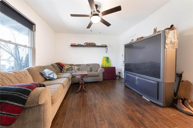 936 Cheatham St, San Marcos, TX 78666 - living room featuring hardwood / wood-style flooring and ceiling fan