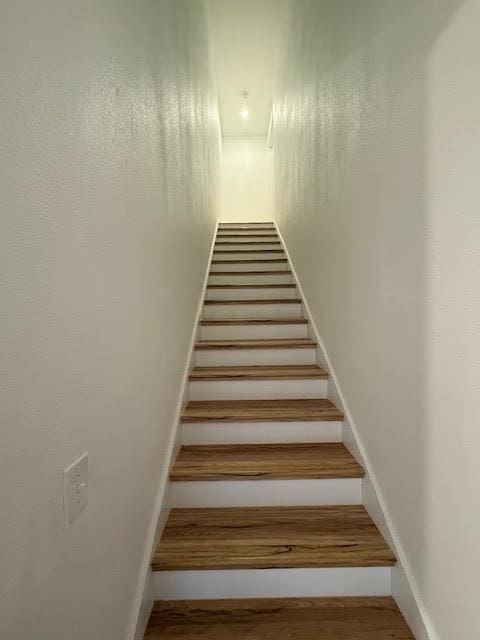 305 Goertz Dr, Red Rock, TX 78662 - stairway featuring wood finished floors