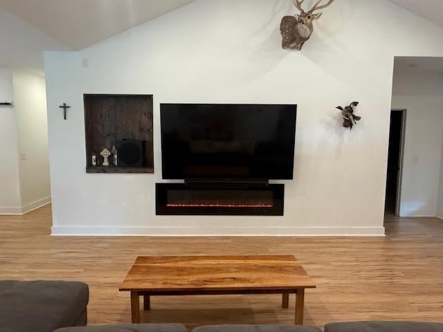 305 Goertz Dr, Red Rock, TX 78662 - living area with lofted ceiling, wood finished floors, and a glass covered fireplace