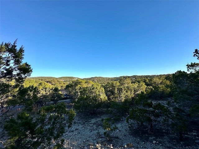 7704 Bar K Ranch Rd, Lago Vista, TX 78645 - photo 12
