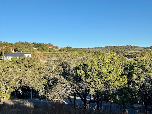 7704 Bar K Ranch Rd, Lago Vista, TX 78645 - photo 3