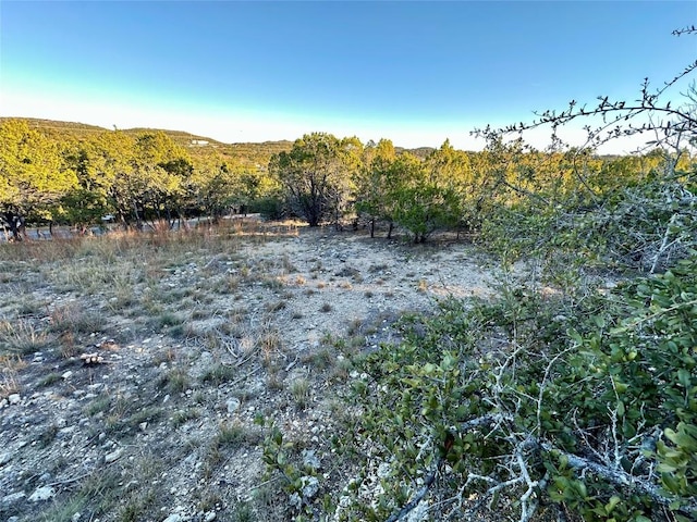 7704 Bar K Ranch Rd, Lago Vista, TX 78645 - photo 5