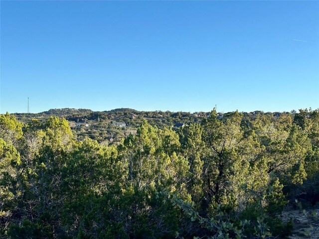 7704 Bar K Ranch Rd, Lago Vista, TX 78645 - photo 14