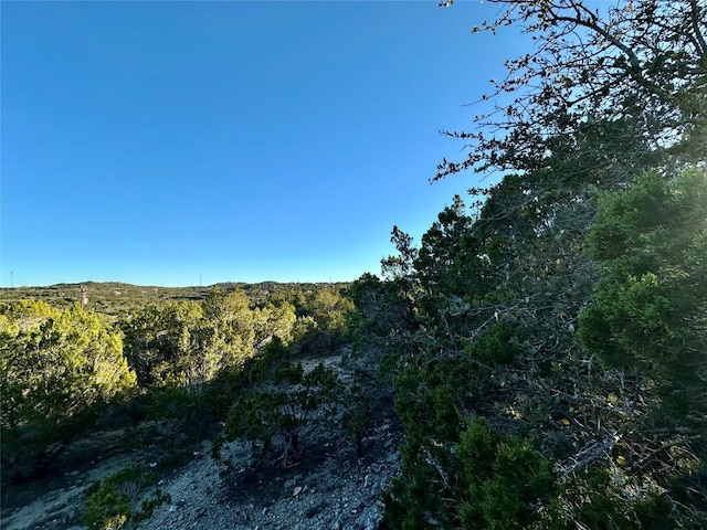 7704 Bar K Ranch Rd, Lago Vista, TX 78645 - photo 7
