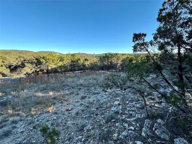 7704 Bar K Ranch Rd, Lago Vista, TX 78645 - photo 9