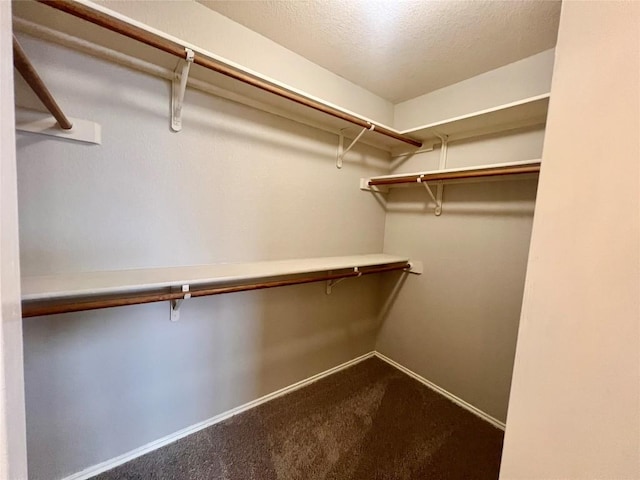 612 Thrush Dr, Leander, TX 78641 - spacious closet featuring dark colored carpet