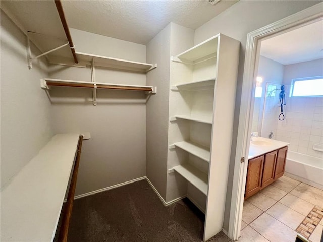 612 Thrush Dr, Leander, TX 78641 - spacious closet with light tile patterned floors