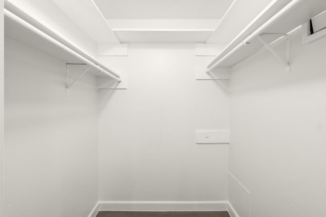 807 Blanco St Unit 204, Austin, TX 78703 - photo 16