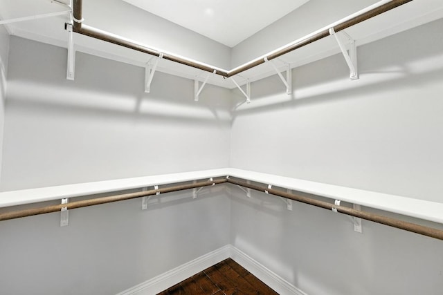 1612 Westmoor Dr, Austin, TX 78723 - walk in closet with dark wood-style floors