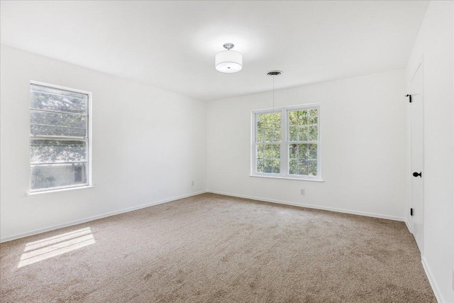 8516 Rockwood Ln, Austin, TX 78757 - spare room with carpet flooring