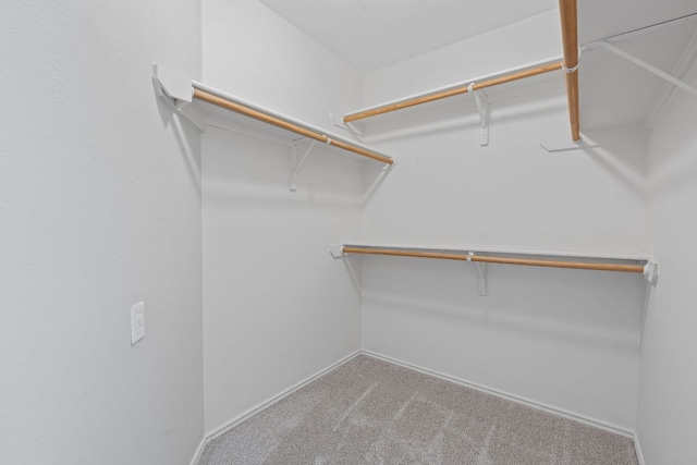 909 Saba Cv, Cedar Park, TX 78613 - photo 15